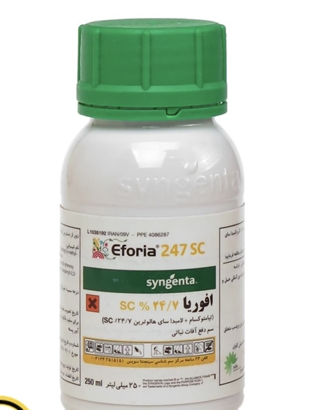 سم حشره کش افوریا سینجنتا ۲۵۰ سی‌سی